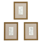 WA120 Botanical Wall Art - (Set of 3) 10.5’’ x 1.25’’ x 13.25’’ PK 2