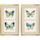 Watery Butterfly S/2 - Artwork