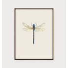When Fall Comes - Dragon Fly Print - I - Artwork