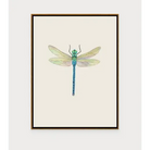 When Fall Comes - Dragon Fly Print - II - Artwork